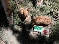 -大连自然博物馆