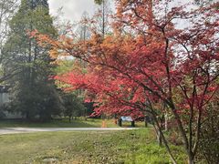 -杭州植物园