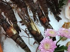 -麓湖国际水疗