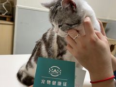 -谐和益家动物医院·免疫绝育·血液透析·宠保定点医院(高新伊藤分院)
