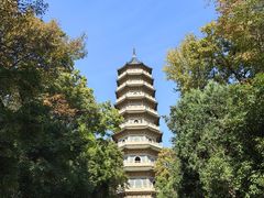 -灵谷景区