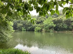 -白马涧龙池景区