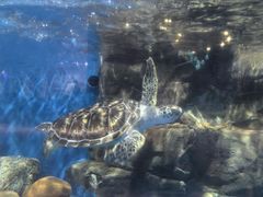 -欢乐海岸海洋奇梦馆