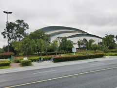 -天鹅湖体育公园