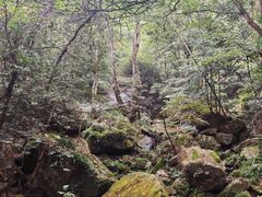 -九华秋浦胜境大王洞风景区