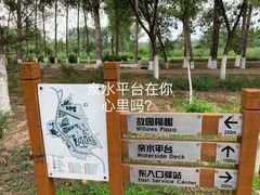-东郊湿地公园