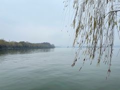 -星巴克(西湖天地店)
