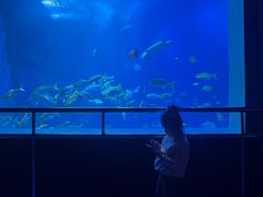 -太平洋海底世界