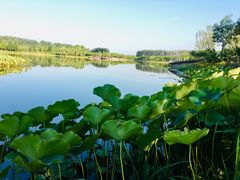 -东郊湿地公园