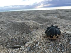 -白沙湾海滩