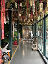 -保丽宝泰母婴护理院·月子中心·产康·中医(常州店)