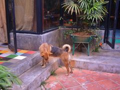 -Le Chalet Dalat