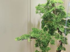 -大鹏饭店·金陵家宴(奥体中心店)