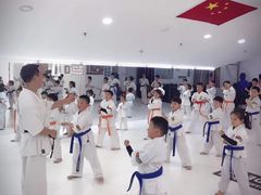 -极真空手道修远道场