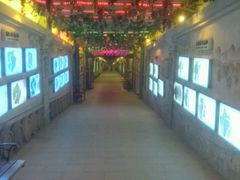 -青岛葡萄酒博物馆