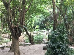 -广州市白云山风景名胜区