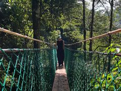 -云南屏边大围山国家公园