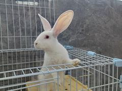 -SHRIMP CLUB万东餐饮钓虾·清吧