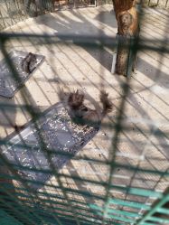 -萌宠亲子动物乐园(槐房万达店)