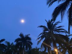 -日落吧·海景咖啡厅·餐酒吧·鸡尾酒·下午茶·乐队表演·浪漫夕阳·三亚文华东方酒店