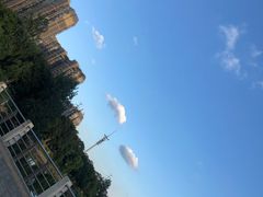 -燕鸣岛