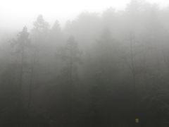 -四明山国家森林公园