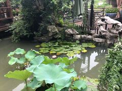 -漫渡庄绿岛花园•隐世庭园菜(滨湖店)