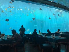 -瑞德姆美人鱼海底演艺主题餐厅(亚龙湾店)