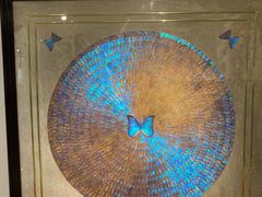 -上海昆虫博物馆