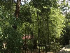-黑河国家森林公园