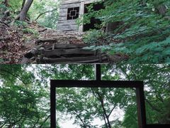 -天女山森林公园