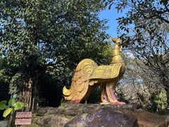-云南勐巴娜西珍奇园