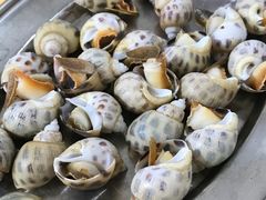 -蚝专家(北滘店)