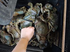 -無招牌海鮮(芽笼店)