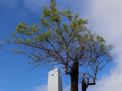 -青岛第三海水浴场