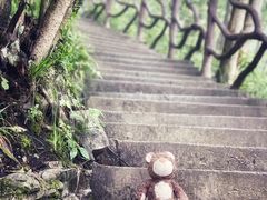 -鹿院坪生态旅游景区