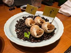 -月龍吟(朝龙汇店)