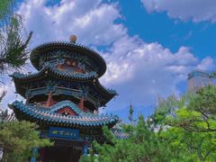 -迎泽公园