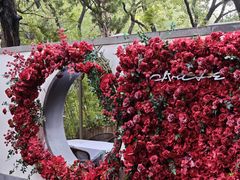 -Circle圆·花园西餐厅