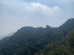 -大岭沟猕猴桃谷风景区