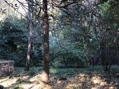 -穹窿山景区