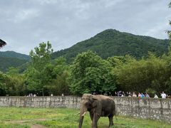 -西安秦岭野生动物园