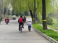 -洨河生态公园