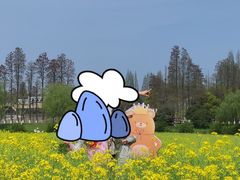 -乌村