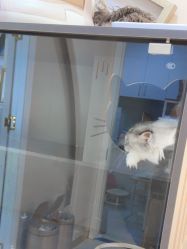 -花系美·美甲美睫精品店