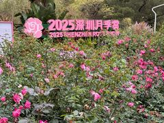 -人民公园(罗湖区)