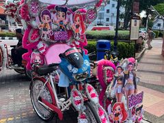 -荷兰红屋
