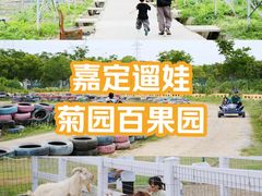 -菊园百果园