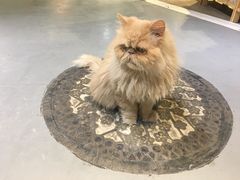 -小时光咖啡馆(开森度假森林店)