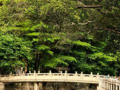 -晓港公园
